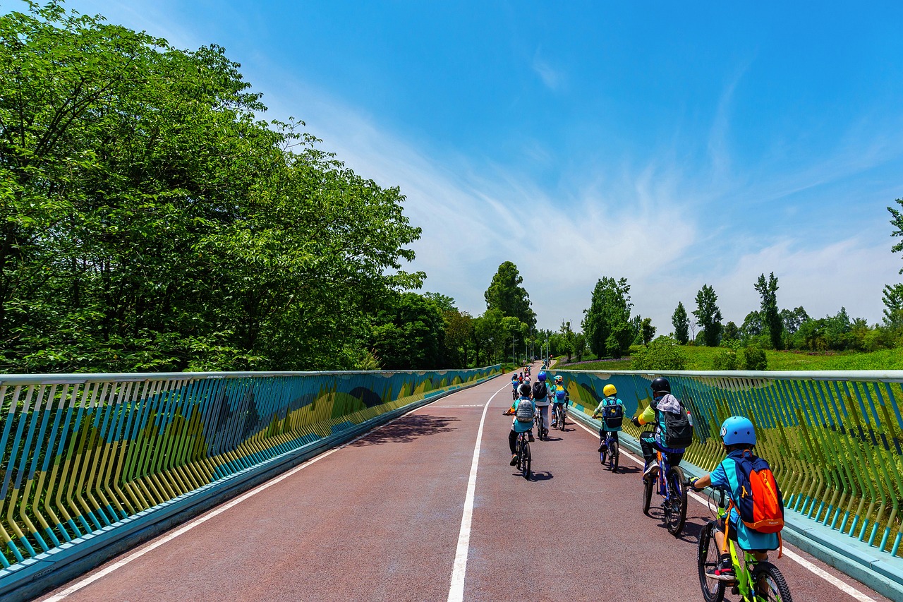 The Impact of Bike Lanes on Urban Sustainability
